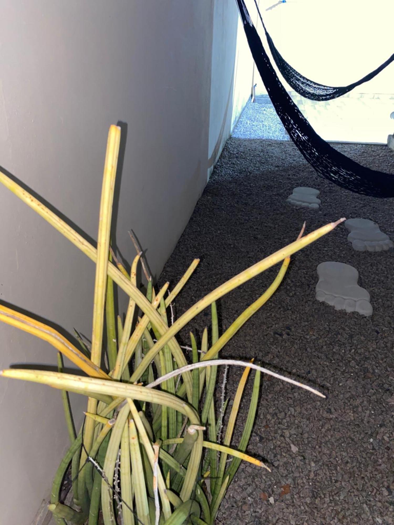 Sobrado Luar Dos Carneiros 1 Tamandare Bech Villa Exterior foto